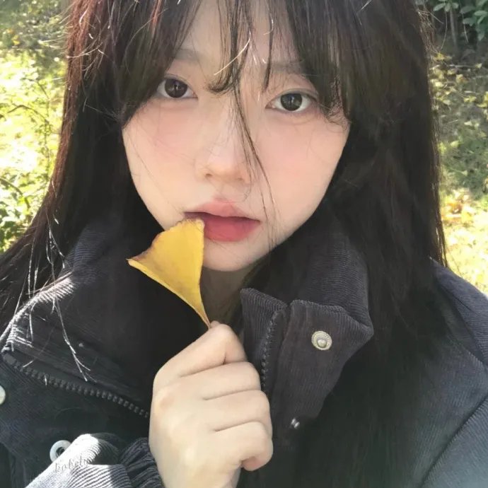 精灵梦叶罗丽11